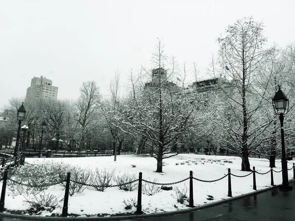 Árboles y edificios con nieve en invierno y estilo vintage — Foto de Stock