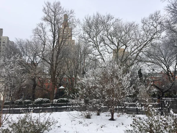 Träd på snö på Washington square park och byggnader i Manhattan, New York — Stockfoto