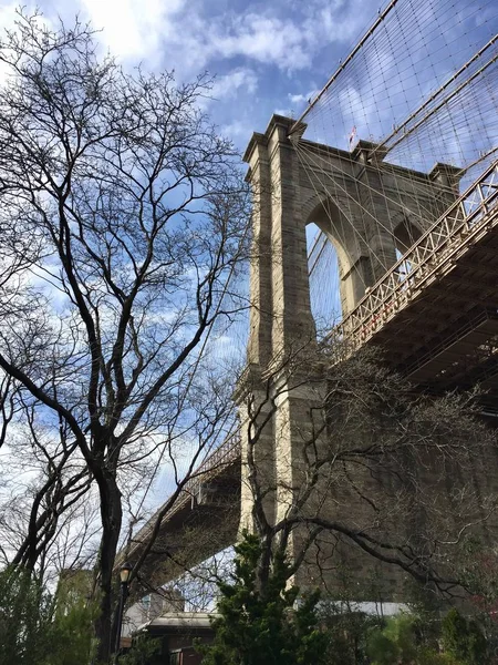 Brooklyn ponte e não deixa árvore com céu azul — Fotografia de Stock
