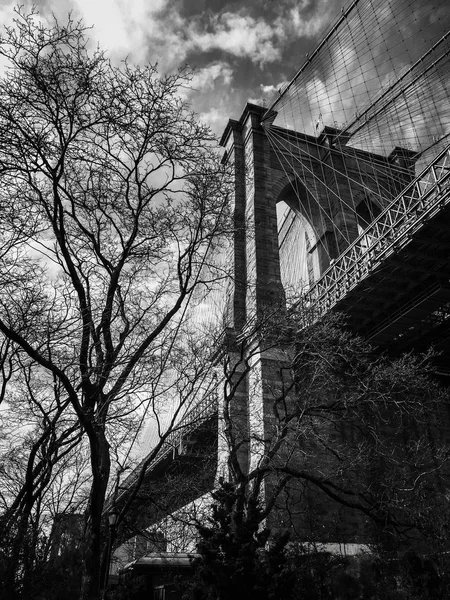 Brooklyn Bridge und kein Laubbaum in schwarz-weiß — Stockfoto