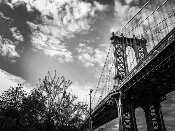 Manhattan bridge i rośliny w parku z pochmurnego nieba w czerni i bieli — Zdjęcie stockowe