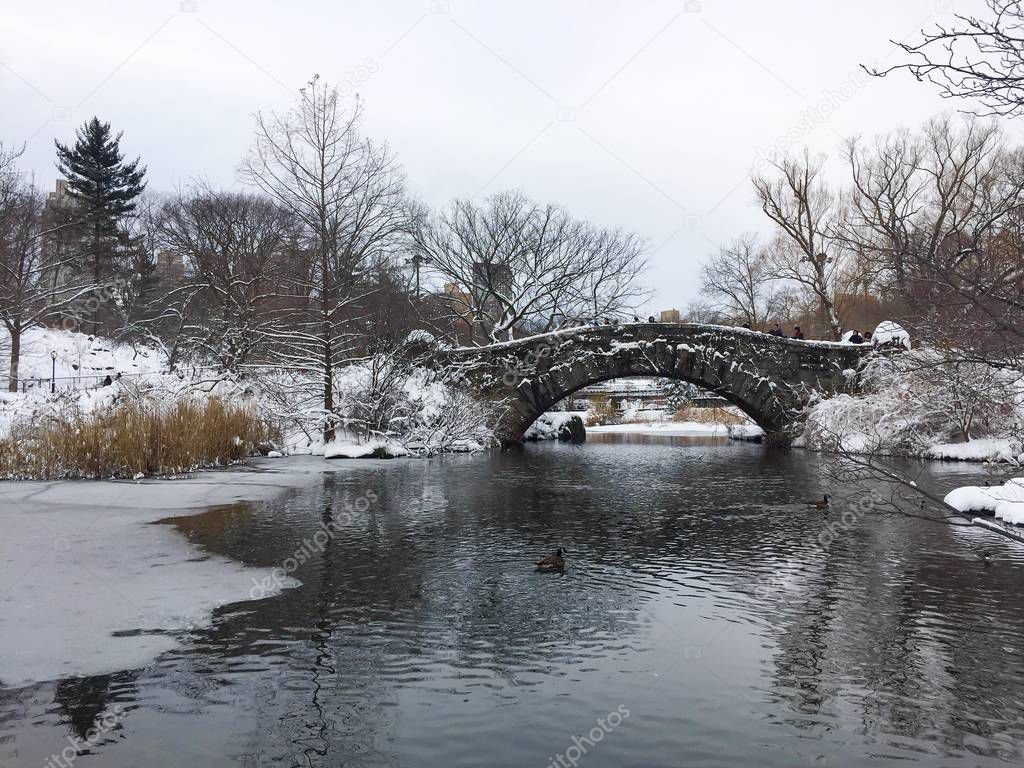 Gapstow bridge and a lake with snow at Central Park, New York