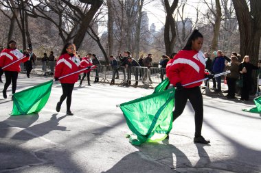 Manhattan, New York 17 Şubat 2017: st patrick's day ve ağaçlar Central Park'ta bayrakla bir geçit