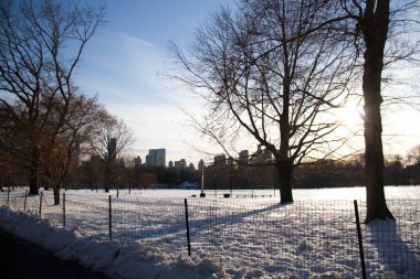 Central Park 'ta gün batımı öncesinde yaya yolunun yanında kar üzerinde siluet ağaçları