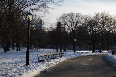 Central Park, New York 'ta kar üzerinde Park bankları ve hafif kutup