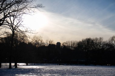 Akşamları parkta kar alanı ve siluet ağaçları
