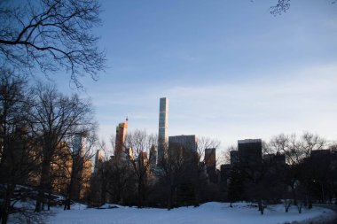 Ağaçlar kar ve Manhattan binalarda