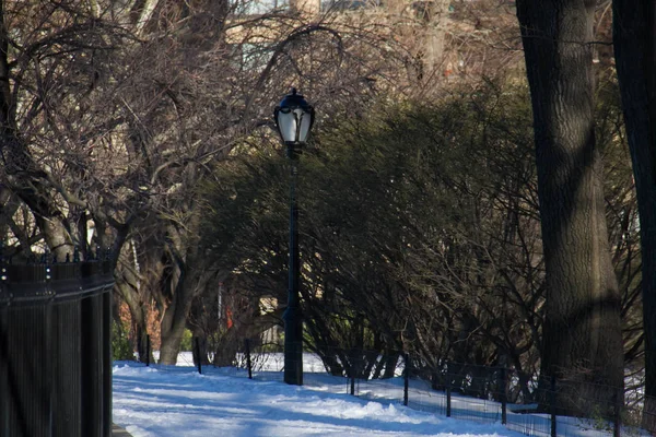 Polo de luz en la nieve y cerca en un parque con sombra — Foto de Stock