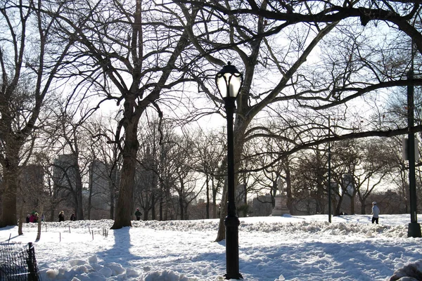 Bäume Und Lichtmast Schnee Park Winter — Stockfoto