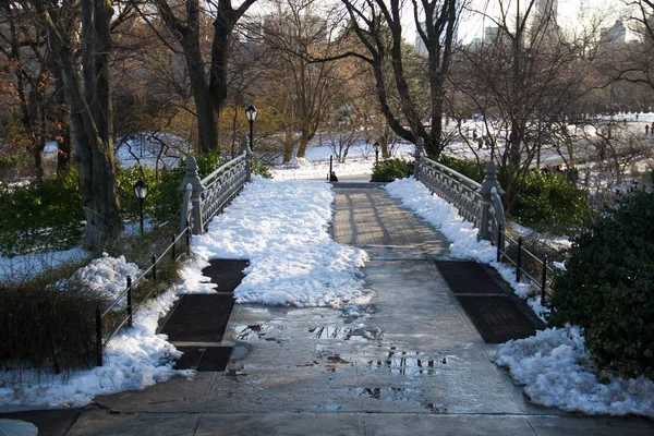 Bro med snö på Central Park — Stockfoto