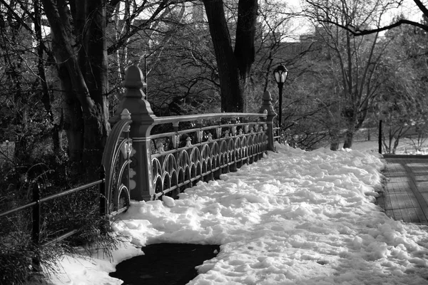 Egy híd, a Central Park, fekete-fehér hó — Stock Fotó