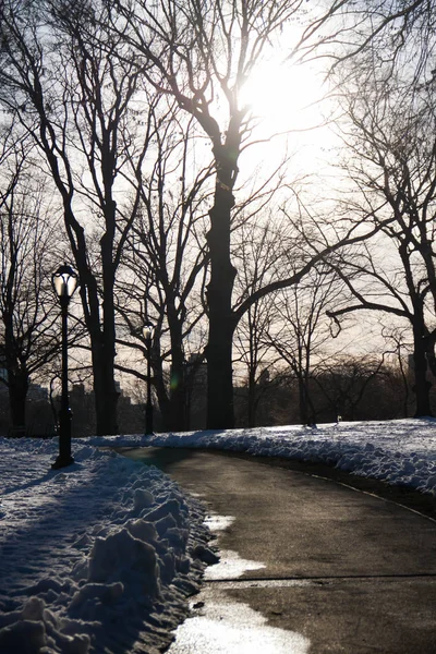 Paseo entre la nieve en el parque antes del atardecer — Foto de Stock