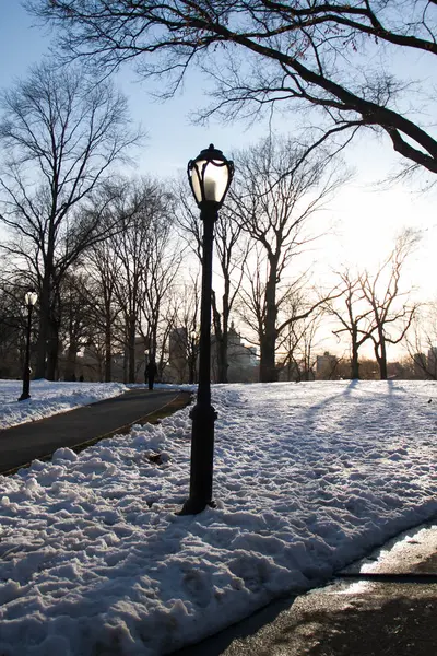 Lyktstolpe på snö och siluett träd på park före solnedgången — Stockfoto