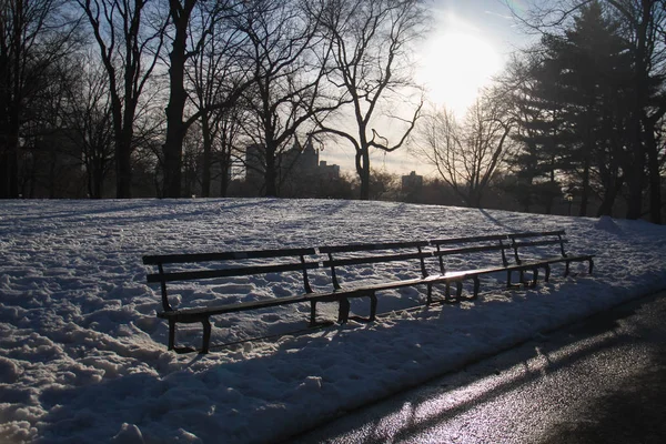 Bancos del parque en la nieve con puesta de sol en Central Park — Foto de Stock