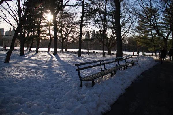 Parkbänk på snö i skuggan med sunset Park — Stockfoto
