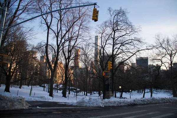 Semáforo acima da estrada no Central Park no inverno da noite — Fotografia de Stock