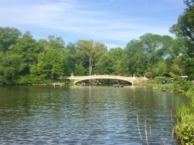 Yay Köprüsü ve Central Park'ta geç Bahar, ağaçlar