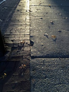 Sabah güneş ışığı ile kaldırımlar üzerinde düşen yapraklar