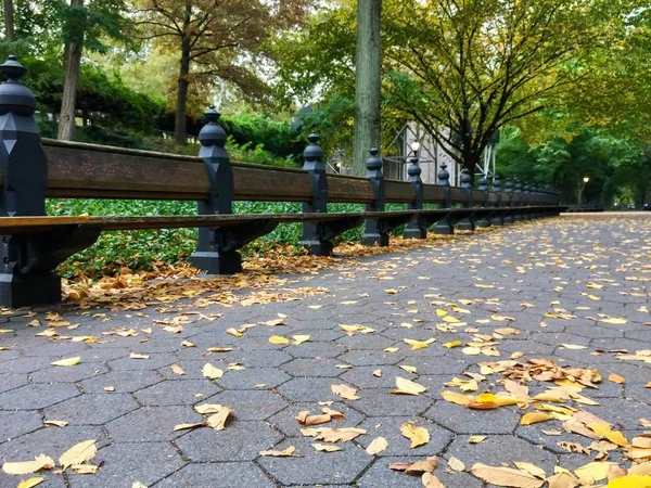 Long Park Bench Fallen Leaves Autumn — Stock Photo, Image