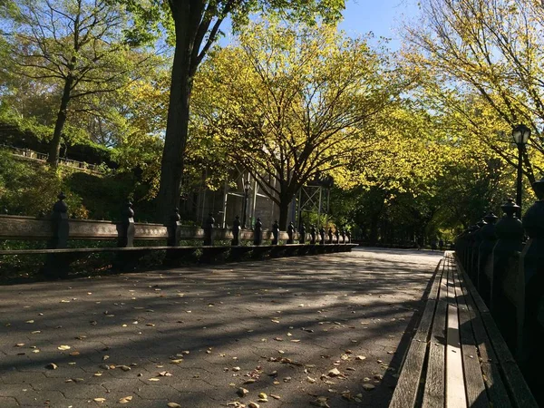 Walkway Long Wooden Bench Shadow Trees Falls — Stock Photo, Image