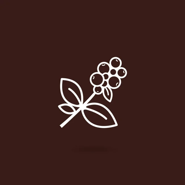 Coffee plant icon. Coffee tree branch with berries with brown background. Coffee bean with leaf on white isolated background. Branch of coffee icon in line style design. Vector illustration