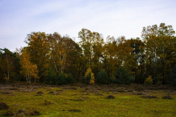 Paisaje de otoño holandés con hermosos árboles de colores — Foto de Stock