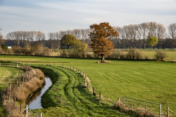 Niederländische Herbstlandschaft mit schönen farbigen Bäumen — Stockfoto