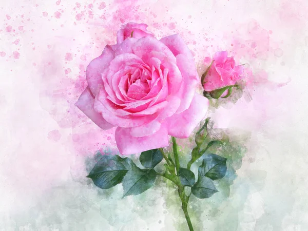 鮮やかなバラの花の水彩画。植物学グリーティングカードや結婚式の招待状のための装飾的な要素 — ストック写真
