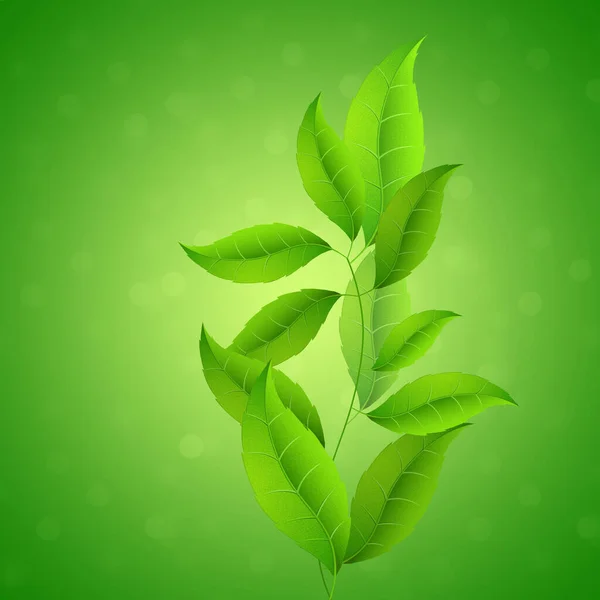 Spring leaves banner illustration. Fresh green leaves, awakening of nature