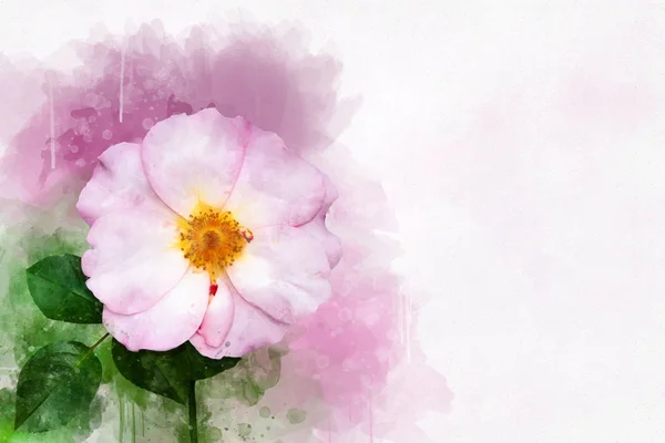 Un disegno ad acquerello di un vibrante fiore rosa. Arte botanica. Elemento decorativo per un biglietto di auguri o un invito a nozze — Foto Stock