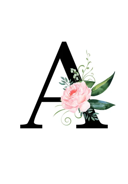 Floral monogram (letter) - decorated with a watercolor rose and leaves — 스톡 사진