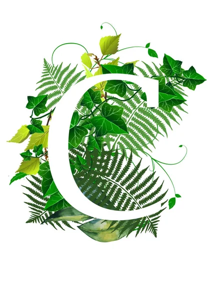 Monograma floral (letra) - decorado con hojas de acuarela —  Fotos de Stock