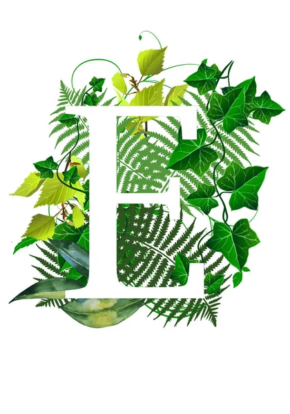 Carta de monograma floral - decorada com folhas verdes frescas — Fotografia de Stock