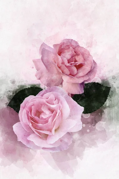Акварельний Малюнок Яскраво Рожевих Троянд Ботанічне Мистецтво Декоративний Елемент Вітальної — стокове фото