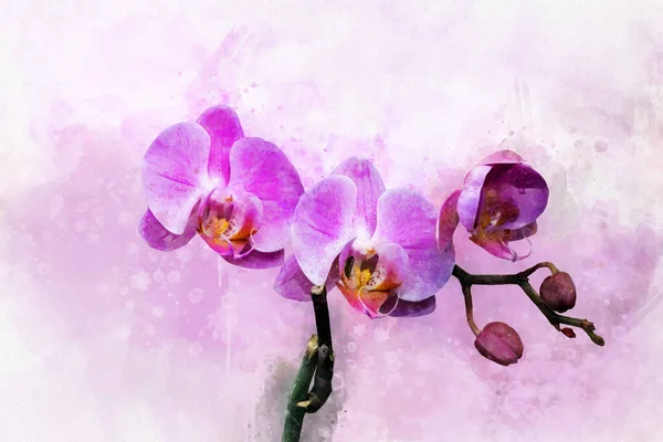 Тропічна Рожева Рослина Рожевими Квітами Зеленим Листям Малюнок Акварелі Квіткова — стокове фото