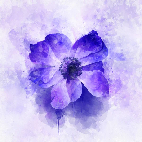 Aquarell Gemälde Von Blauer Anemonenblume Botanische Illustration — Stockfoto