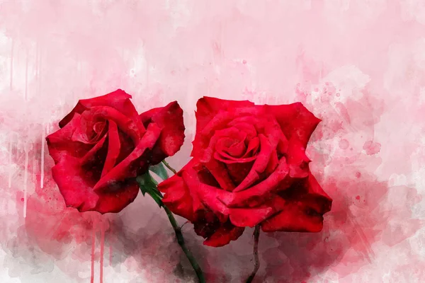 Disegno Acquerello Vivaci Fiori Rosa Rossa Arte Botanica Elemento Decorativo — Foto Stock