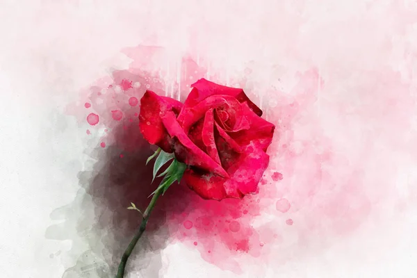 Desenho Aquarela Uma Flor Rosa Vermelha Vibrante Arte Botânica Elemento — Fotografia de Stock