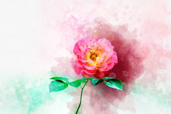 一朵生机勃勃的粉红色玫瑰花的水彩画 植物学艺术 贺卡或婚宴请柬的装饰元素 — 图库照片