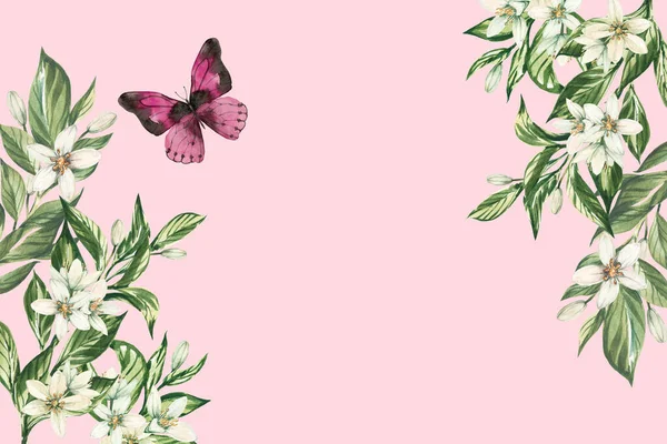 Акварель Цветочный Акварель Иллюстрация Листьями Цветами Бабочкой Изолированы Розовом Фоне — стоковое фото