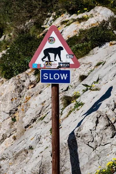 Verkeerstekens Weg Bergop Naar Gibraltar Rock — Stockfoto