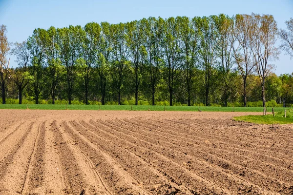 Jordbruksfältet Nederländerna Klart För Sådd Jordbruksfälten Våren Symmetriska Linjer — Stockfoto