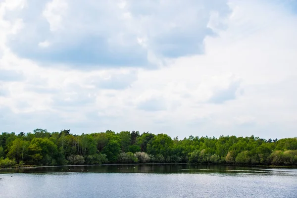 Lindo Lago Meio Charneca Parque Nacional Maasduinen Província Limburgo Países — Fotografia de Stock