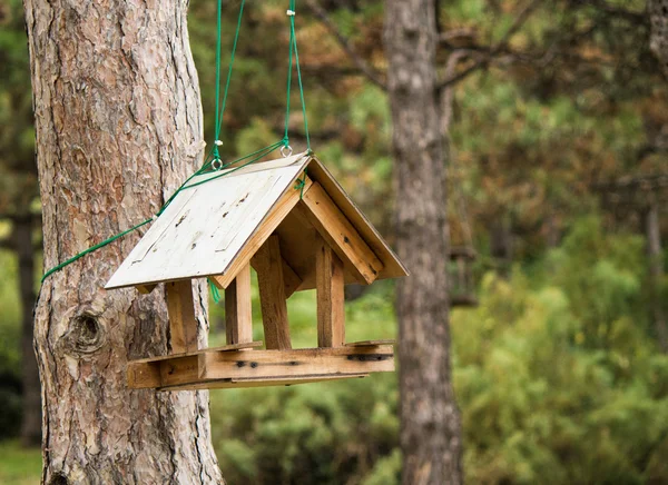 Otwarte birdhouse zamontowane na drzewie — Zdjęcie stockowe