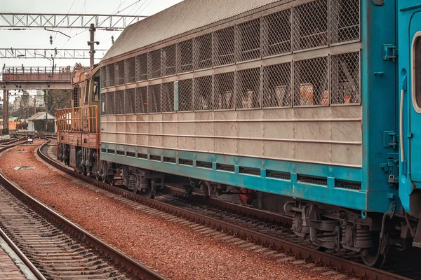 Den stora gamla tåg på ukrainska järnvägar — Stockfoto