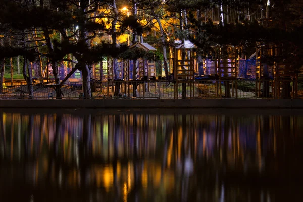 Geweldig uitzicht op het park donkere nacht. — Stockfoto