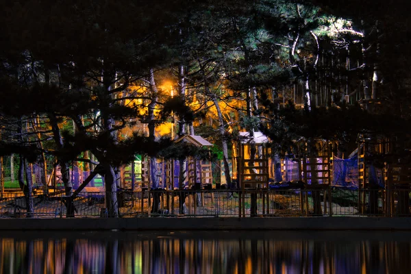 Csodálatos sötét éjszaka parkra néző. — Stock Fotó