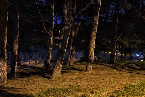 Noche oscura vista al parque — Foto de Stock