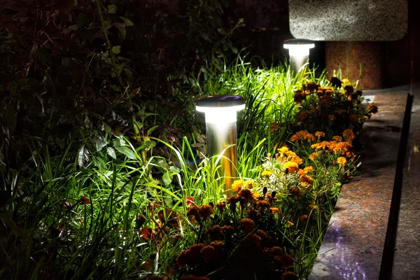 Illuminated Garden by LED Lighting