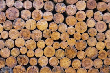 yığılmış kesim ahşap günlükleri